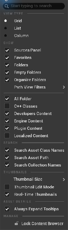 Content BrowserのSettingsメニューでShow Plugin Contentが有効になっている。
